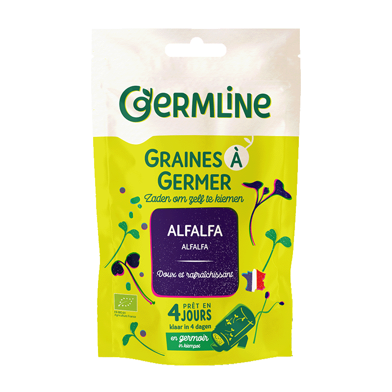 Germline -- Graines à germer alfalfa bio (origine France) - 150 g