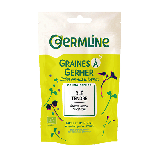 Germline -- Graines à germer blé bio (origine France) - 200 g